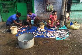 Daily Life In Kolkata, India