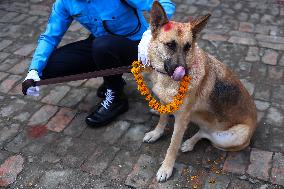 Kukur Tihar, A Dog Festival In Kathmandu Nepal.