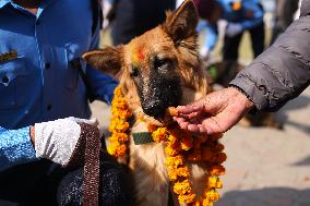 Kukur Tihar, A Dog Festival In Kathmandu Nepal.