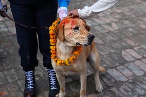 Kukur Tihar, A Dog Festival In Kathmandu Nepal.