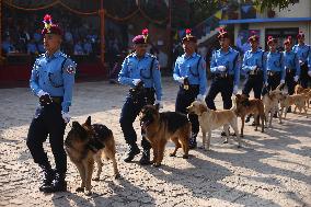 Kukur Tihar, A Dog Festival In Kathmandu Nepal.