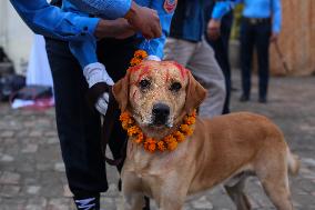 Kukur Tihar, A Dog Festival In Kathmandu Nepal.