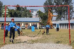 Kukur Tihar, A Dog Festival In Kathmandu Nepal.