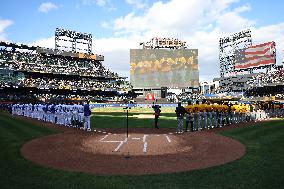 Dominican Winter League