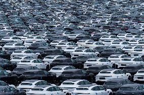 New Energy Vehicles Parked at Changan Automobile Distribution Center in Chongqing