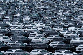 New Energy Vehicles Parked at Changan Automobile Distribution Center in Chongqing