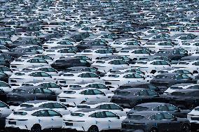 New Energy Vehicles Parked at Changan Automobile Distribution Center in Chongqing