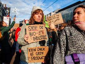 Massive Climate March, Organized In Amsterdam.