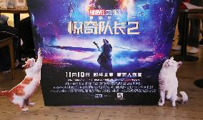 Film The Marvels Release in Shanghai