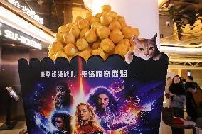 Film The Marvels Release in Shanghai