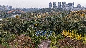 A Huge Circular Maze at Guanshanhu Park in Guiyang