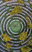 A Huge Circular Maze at Guanshanhu Park in Guiyang