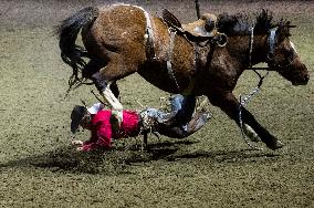 (SP)CANADA-TORONTO-RODEO