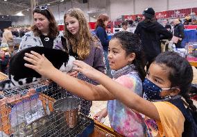 CANADA-TORONTO-ROYAL AGRICULTURAL WINTER FAIR-ANIMAL SHOW