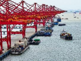 Cargo Ships at Taicang Zhenghe International Termina