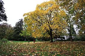 FRANCE-PARIS-AUTUMN-SCENERY