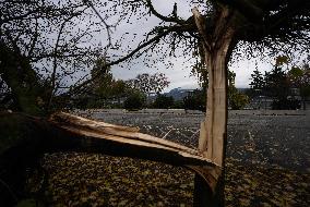 Wind Storm Hits Vancouver