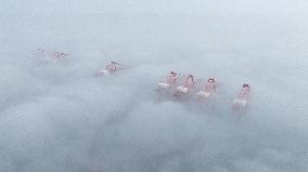 Taicang Zhenghe International Pier Under Fog