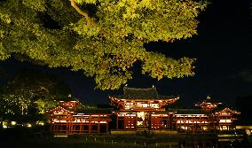 Kyoto's Byodoin Temple lit up