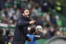 I Liga - Sporting vs Estrela