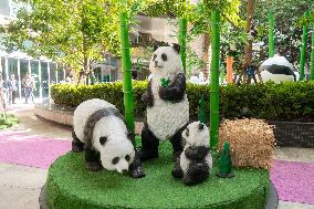 Giant Panda Sculptures