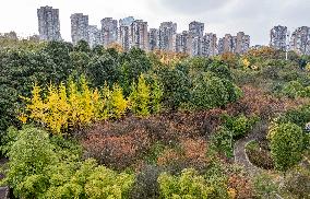 Guanshanhu Park Scenery in Guiyang