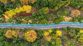 The Most Beautiful Forest Road in Guanshanhu Park in Guiyang