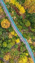 The Most Beautiful Forest Road in Guanshanhu Park in Guiyang