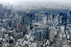 Aerial photo of central Tokyo