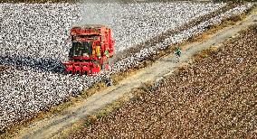 Xinhua Headlines: Xinjiang cotton -- the epitome of modern agriculture