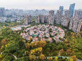 Colorful Autumn Colors Surround A Residential Area in Guiyang