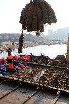 Oysters Harvest in Lianyungang