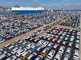 Vehicles Export in Yantai Port