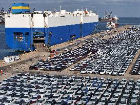 Vehicles Export in Yantai Port