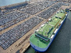 Vehicles Export in Yantai Port