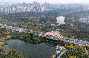 Guanshanhu Park Scenery in Guiyang