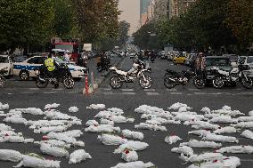 Anti-War Installation In Tehran