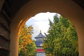 CHINA-BEIJING-CENTRAL AXIS-AUTUMN SCENERY (CN)