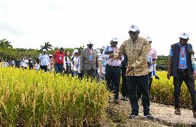 CHINA-HAINAN-SANYA-CHINA-AFRICA-AGRICULTURE COOPERATION-FORUM-FIELD TRIP (CN)