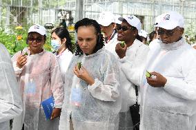 CHINA-HAINAN-SANYA-CHINA-AFRICA-AGRICULTURE COOPERATION-FORUM-FIELD TRIP (CN)