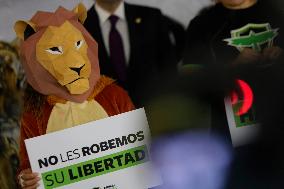 Activists Demonstrate In The Senate Of The Republic Against The Commercialisation And Possession Of Wild Animals In Mexico