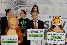 Activists Demonstrate In The Senate Of The Republic Against The Commercialisation And Possession Of Wild Animals In Mexico