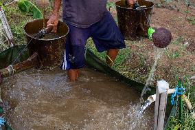 Solar Powered Plantation In Bogor, Indonesia