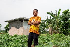 Solar Powered Plantation In Bogor, Indonesia