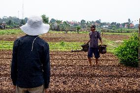 Solar Powered Plantation In Bogor, Indonesia