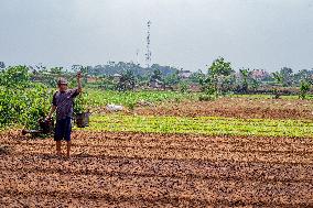 Solar Powered Plantation In Bogor, Indonesia