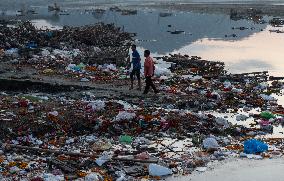 Environmental Issues In India