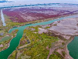Tiaozini Wetlands Ecological Landscape in Yancheng