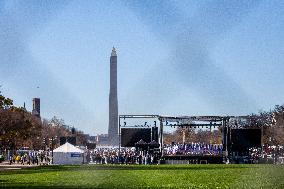 Tens of thousands rally for Israel on the National Mall