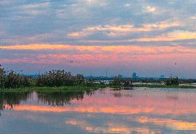 Hongze Lake Wetland at Sunset in Suqian